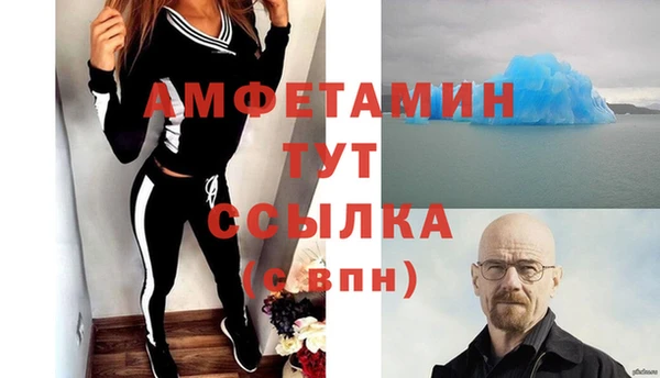 тгк Ельня