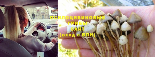 Альфа ПВП Армянск