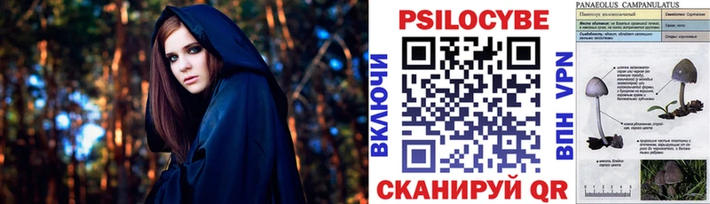 купить закладку  Белозерск  Галлюциногенные грибы Psilocybe 